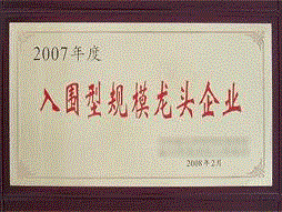 荣誉资质